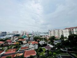 Stirling Residences (D3), Apartment #404141371